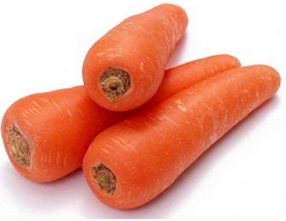 Carrot Daucus Carota Seeds for Planting for Planting, Premium Vegetable Seeds | Heirloom Non-GMO