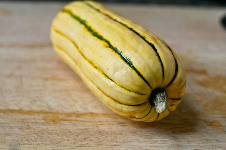 Lakota Squash Seeds for Planting Cucurbita pepo for vegetable patches and home gardens Heirloom Non-GMO Seeds