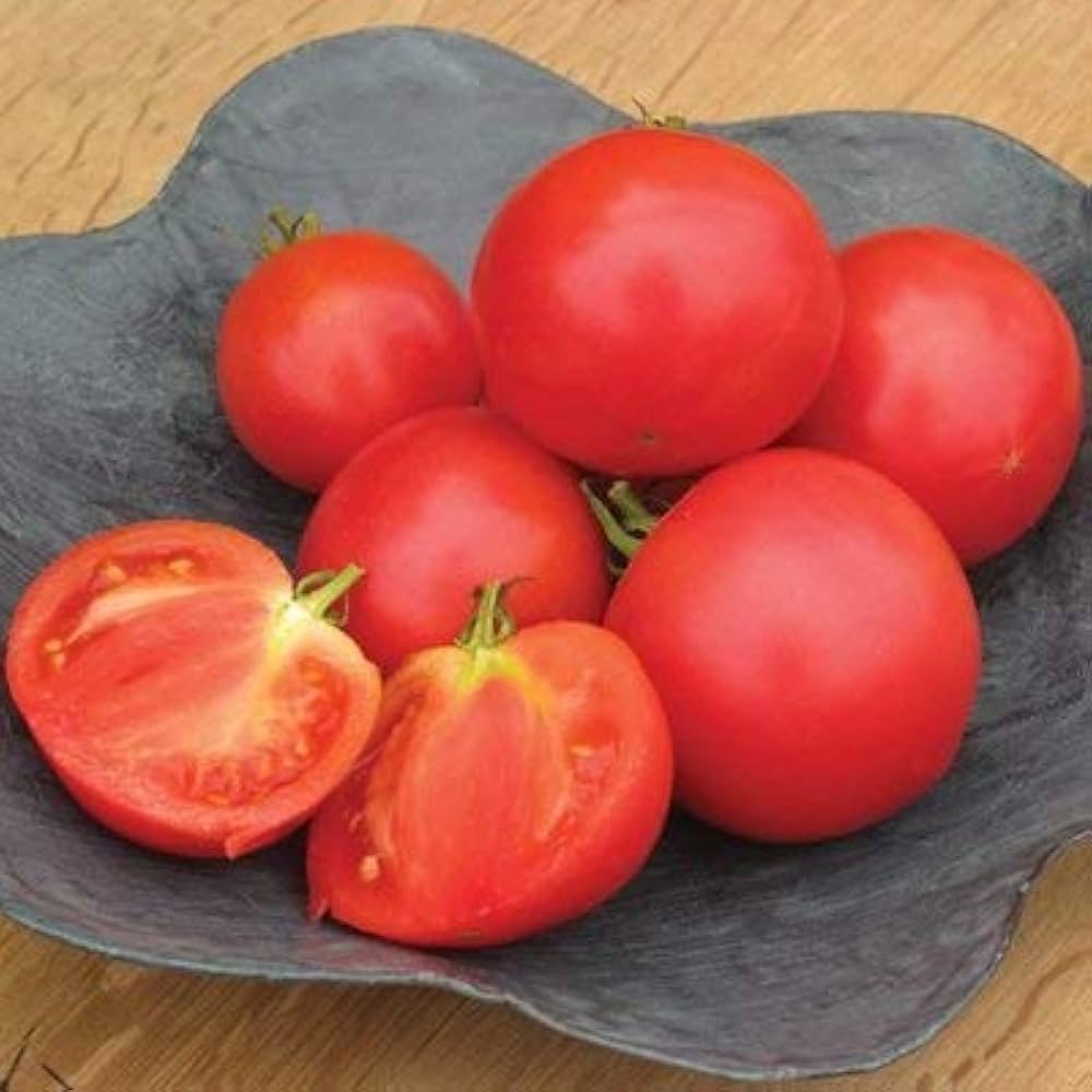 Momotaro Tomato Solanum lycopersicum Seeds for Planting in Vegetable Patch for Planting, Premium Vegetable Seeds | Heirl