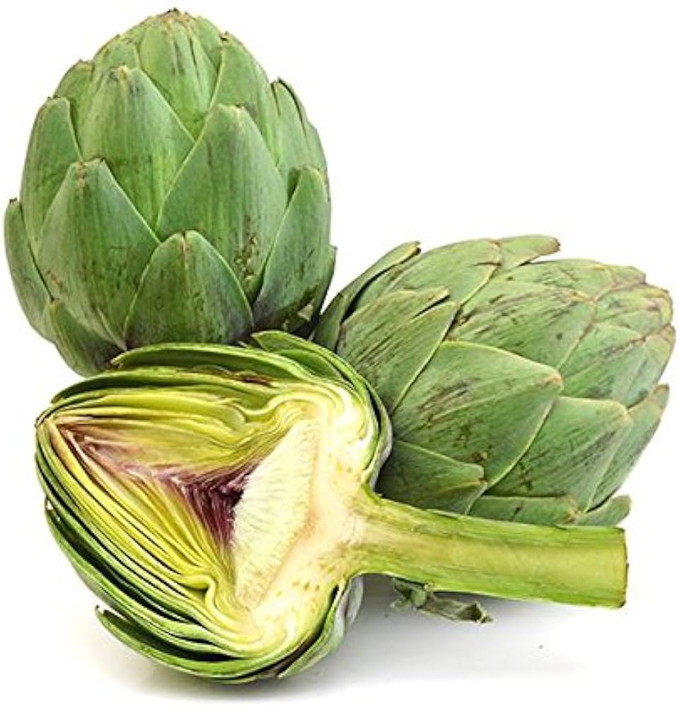 Jerusalem Seeds for Planting Cynara scolymus for vegetable patches and home gardens Heirloom Non-GMO Seeds