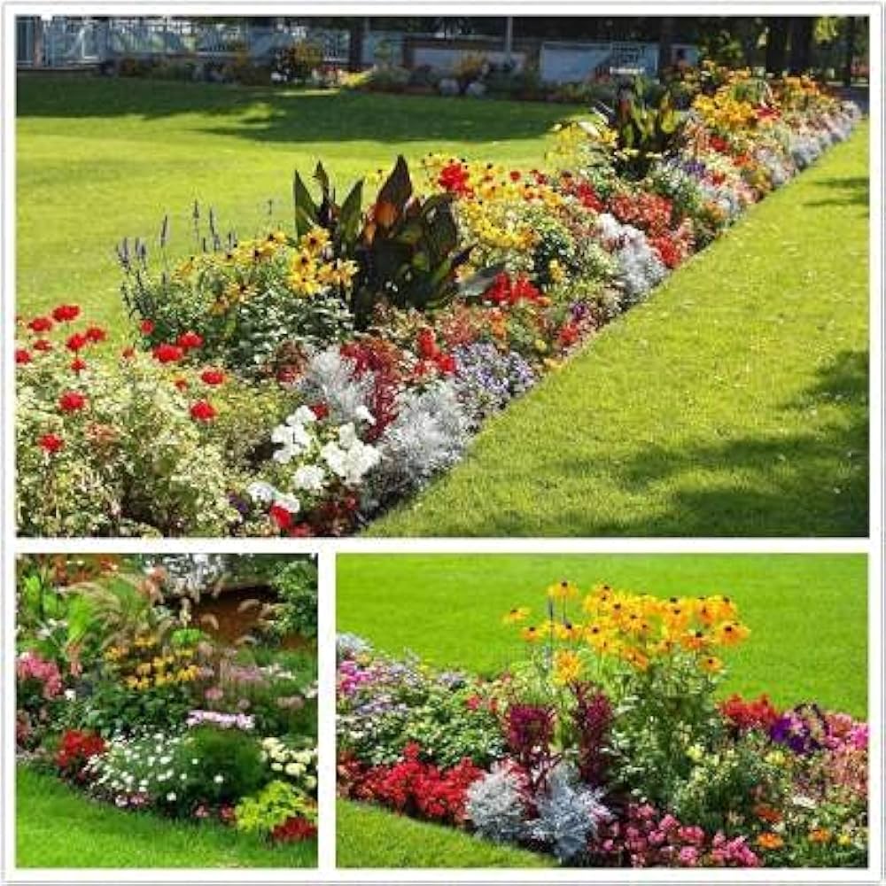 Mixed Butterflies Wildflower Seeds for Planting for Pollinator Gardens Heirloom Non-GMO Seeds