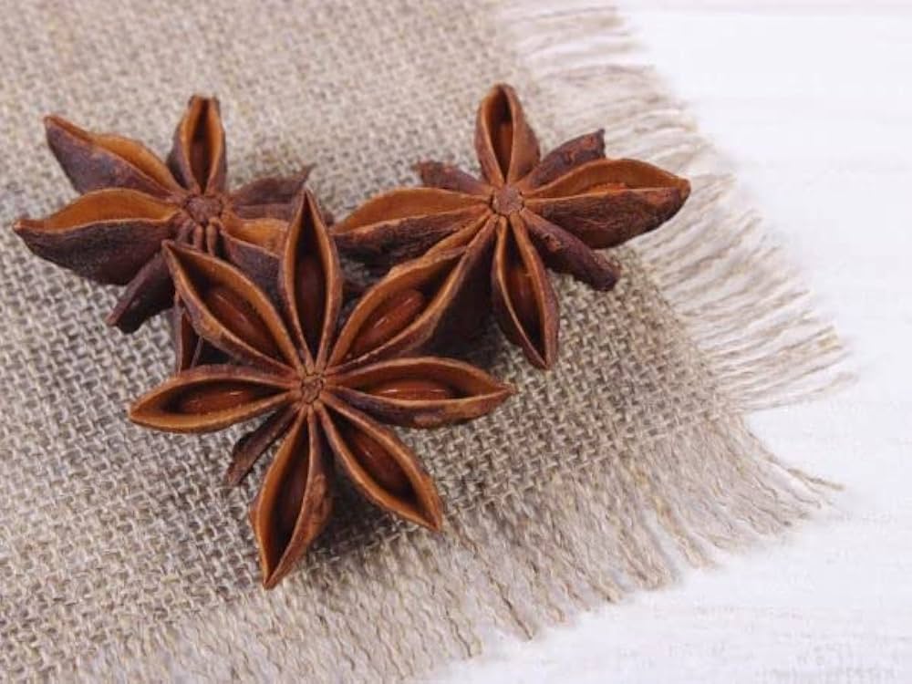 Anise Myrrhis Odorata Flower Seeds for Planting in Herb Garden and Garden Heirloom Non-GMO Seeds