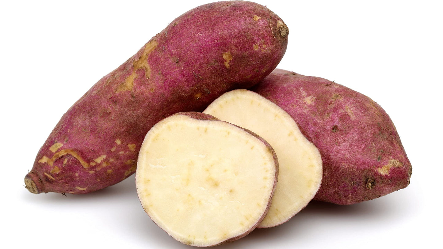 Sweet Potato Vegetable Seeds Ipomoea batatas for Planting in Vegetable Patch for Planting, Premium Seeds | Heirloom Non-