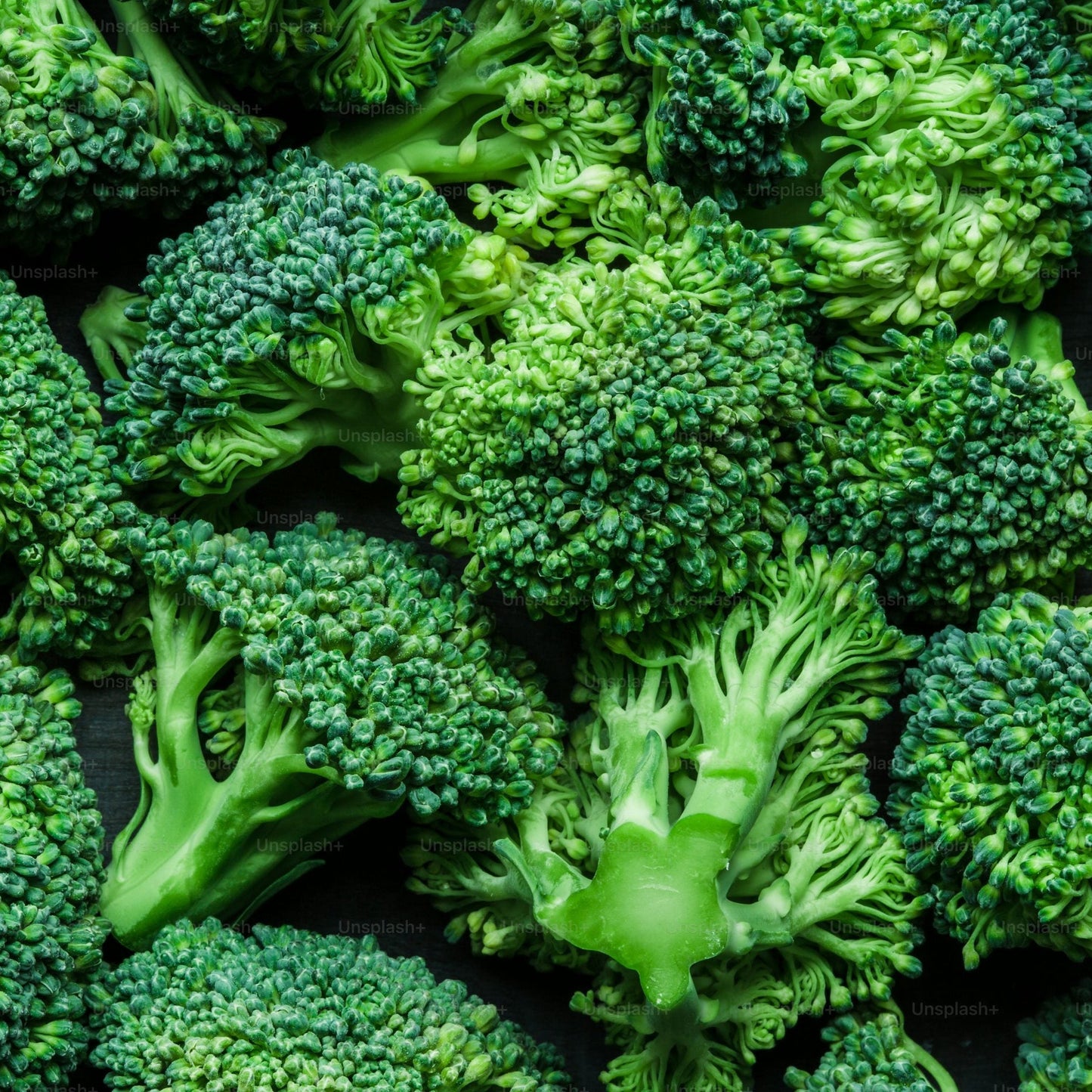 Broccoli Seeds ¨C Calabrese Garden Variety