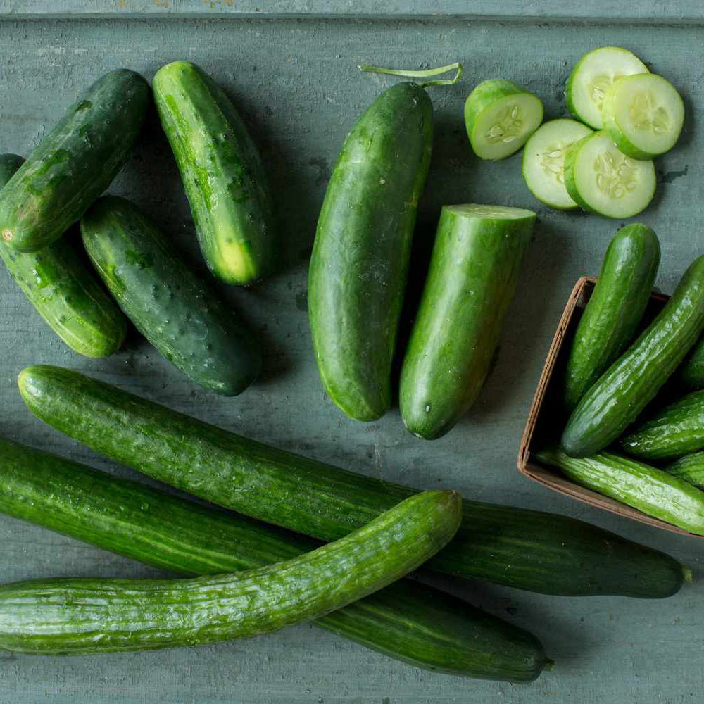 English Cucumber Seeds - Burpless Garden Variety for Planting, Premium Vegetable Seeds | Heirloom Non-GMO