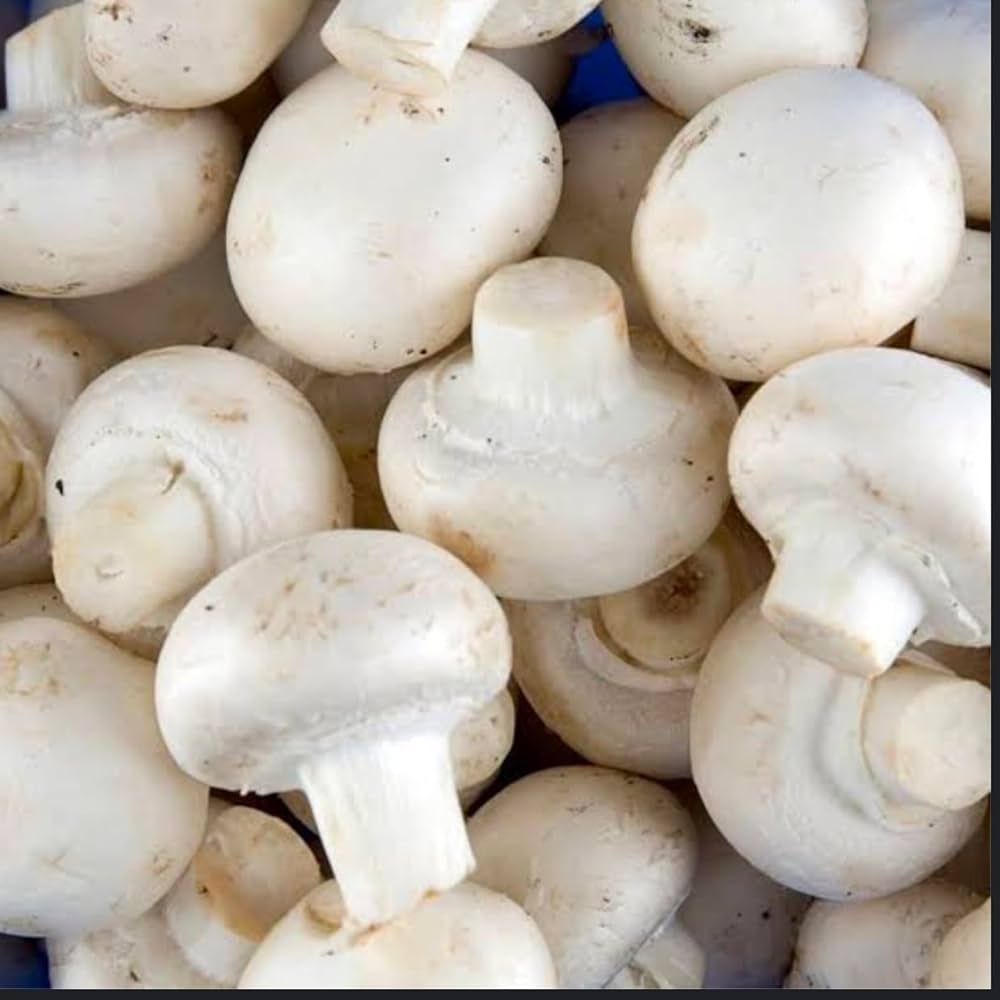 Mushroom Seeds for Planting Agaricus Bisporus kitchen garden edible bed for Planting, Premium Seeds | Heirloom Non-GMO