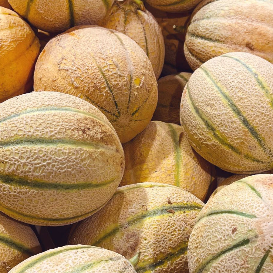 Cantaloupe Seeds Fruit Seeds for Home Gardens, Raised Beds & Outdoor Growing