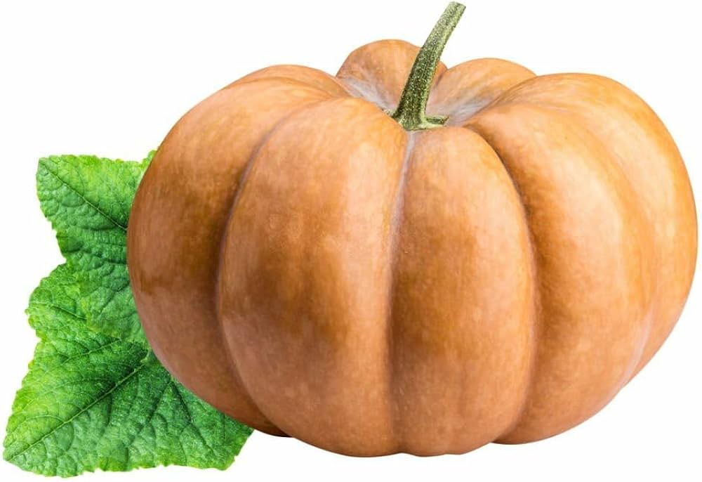 Calabaza Pumpkin Seeds for Planting Cucurbita Moschata vegetable patch edible garden for Planting, Premium Seeds | Heirl