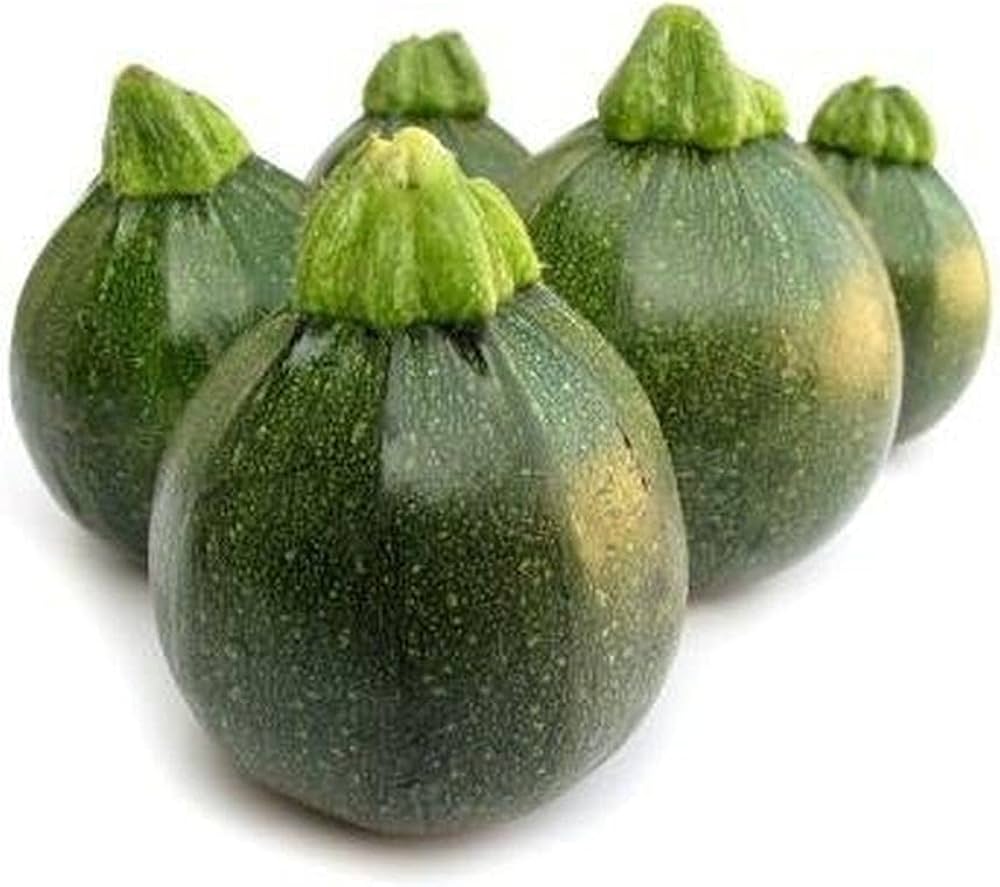 Summer Squash Cucurbita pepo Seeds for Planting for Planting, Premium Seeds | Heirloom Non-GMO