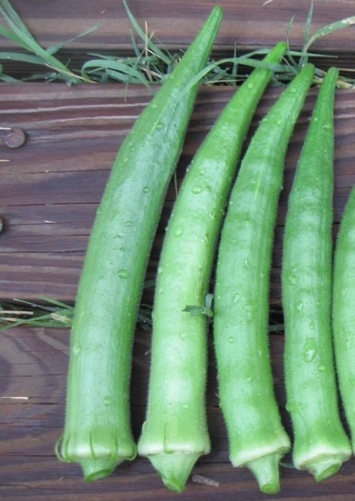 Giant Okra Seeds for Planting Abelmoschus Esculentus vegetable patch urban garden for Planting, Premium Vegetable Seeds