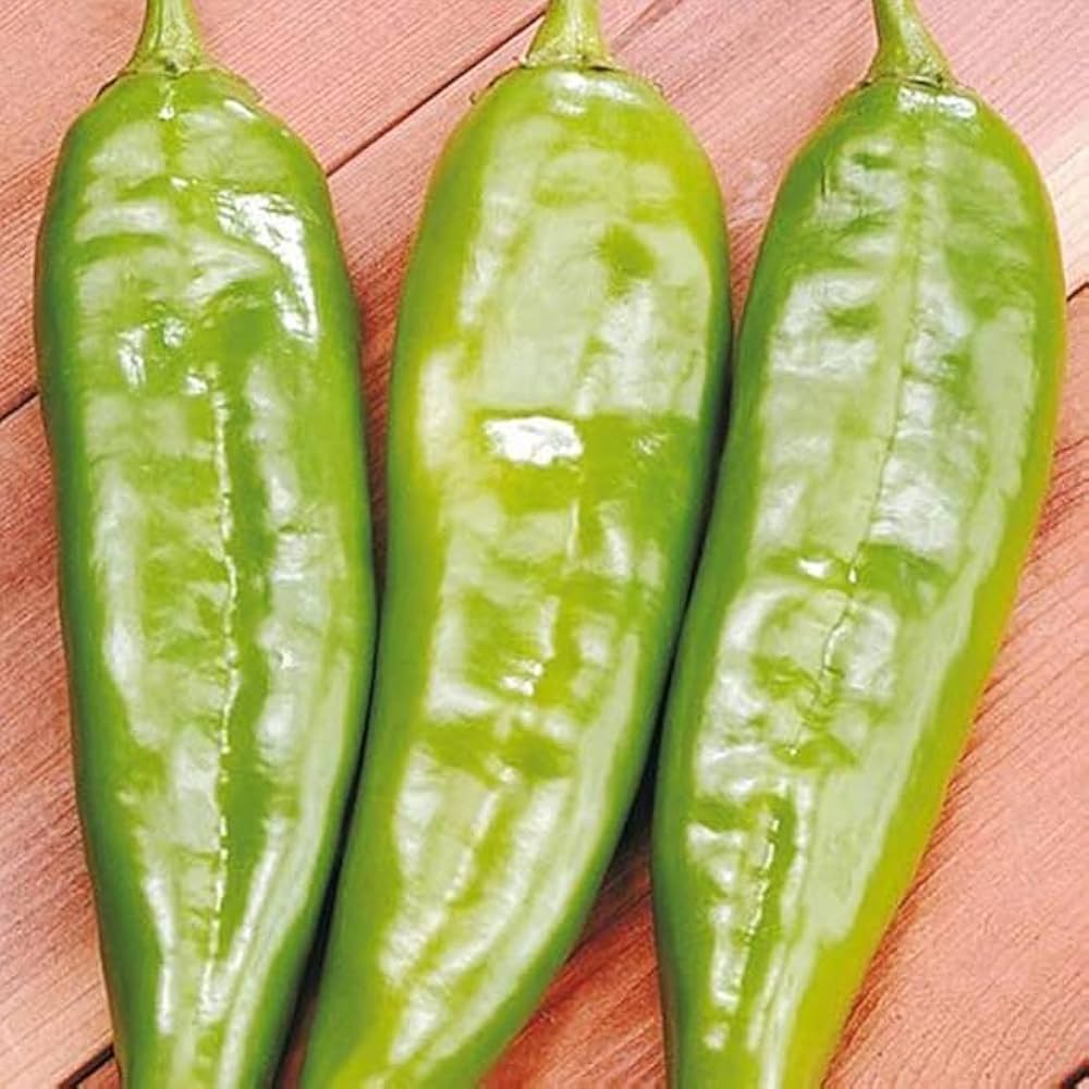 Italian Sweet Pepper Seeds for Planting Capsicum Annuum for Vegetable Patch for Planting, Premium Vegetable Seeds | Heir