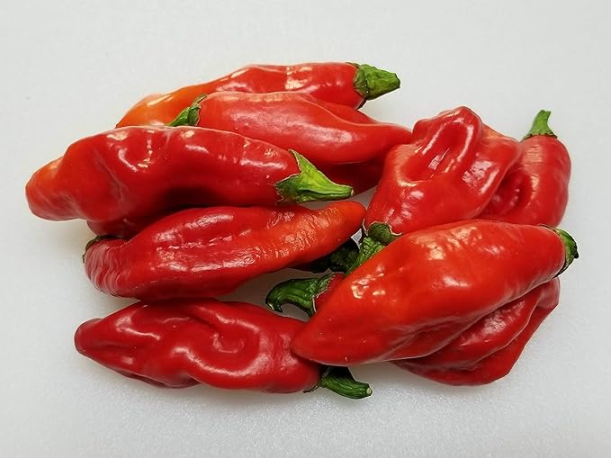 Trinidad Pimento Capsicum chinense Pepper Seeds for Planting in Garden for Planting, Premium Vegetable Seeds | Heirloom