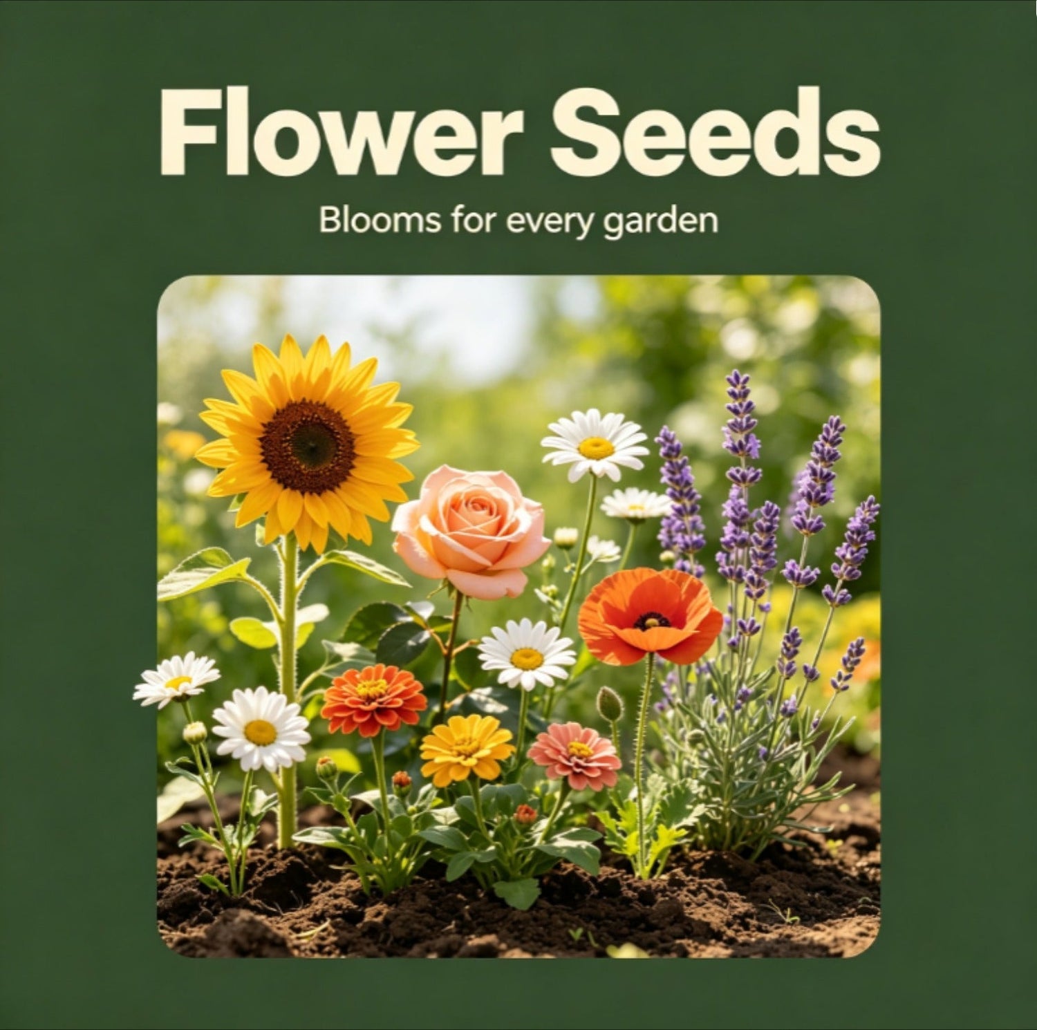 Flower Seeds