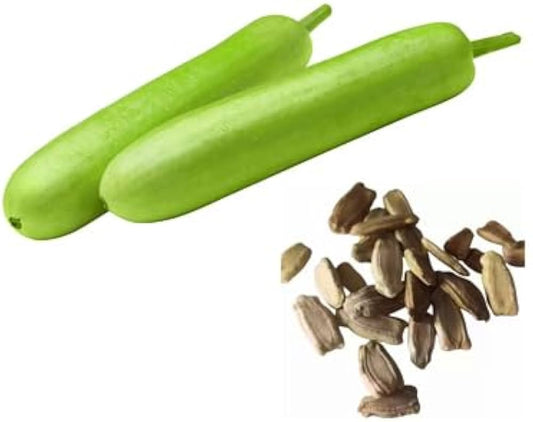 Bottle Gourd Lagenaria siceraria Vegetable Seeds for Planting in Vegetable Patch Heirloom Non-GMO Seeds