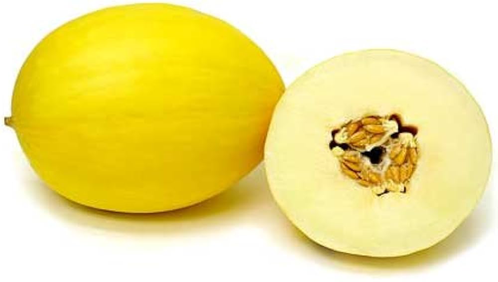 Canary Melon Cucumis melo Seeds for Planting in Vegetable Patch for Planting, Premium Seeds | Heirloom Non-GMO
