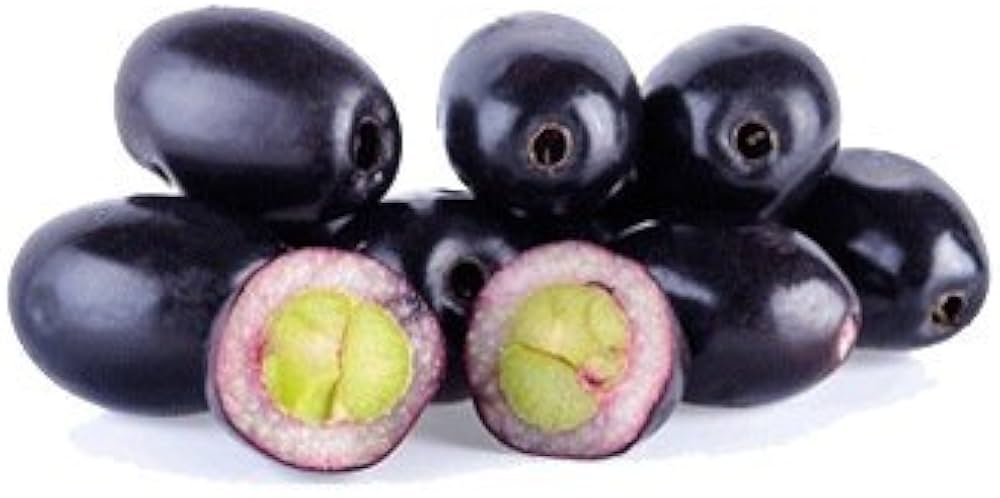 Organic Plum Fruit Seeds Prunus domestica for Planting in Vegetable Patch Fruit Seeds for Home Gardens, Containers & Outdoor Growing