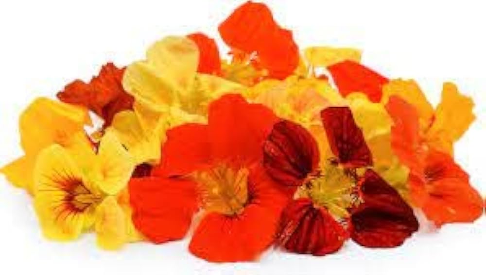 Nasturtium Tropaeolum Majus Flower Seeds for Planting Heirloom Non-GMO Seeds