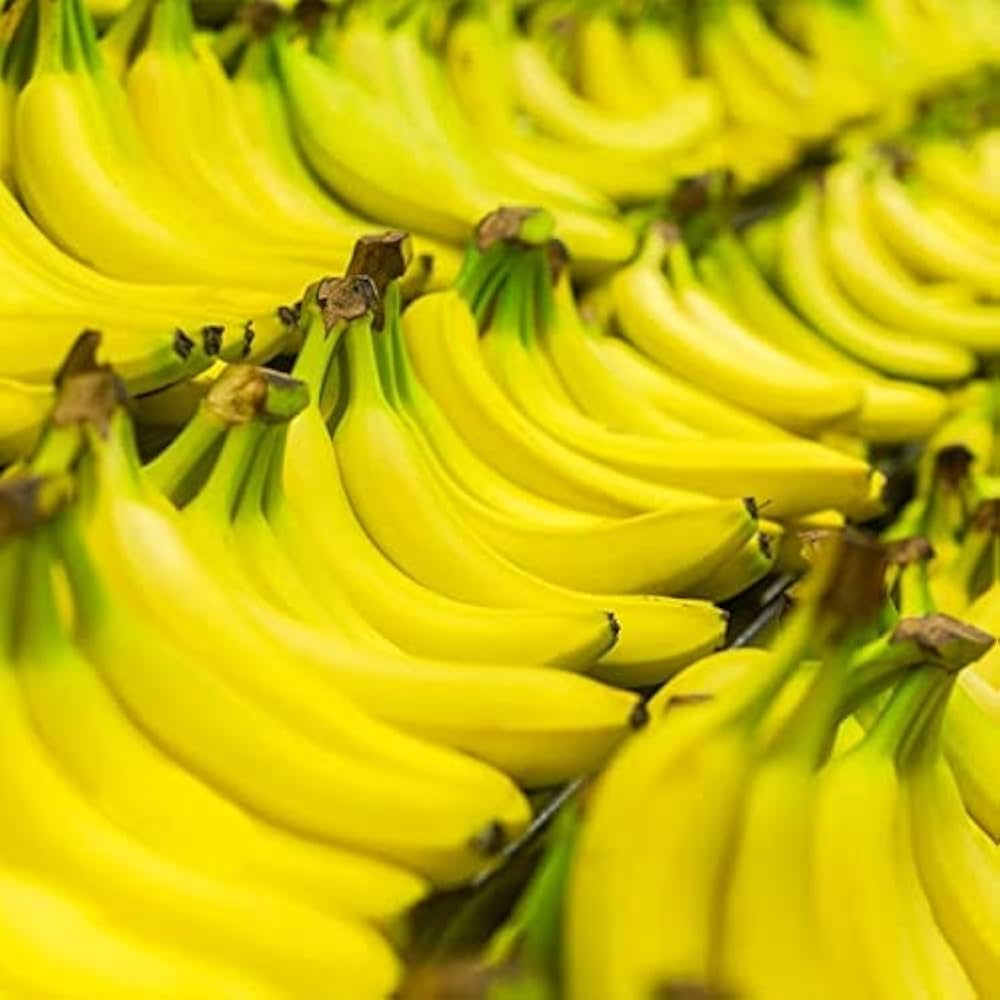 Banana Musa spp. Fruit Seeds for Planting for Planting, Premium Seeds | Heirloom Non-GMO
