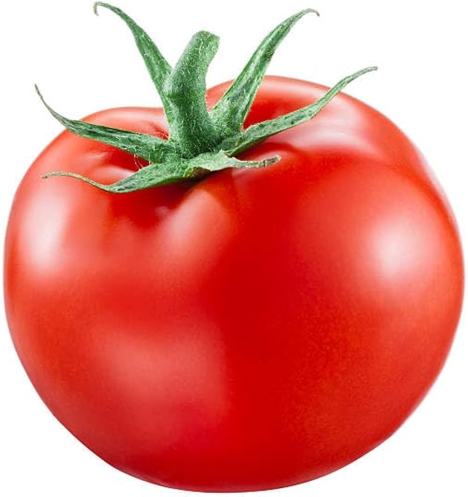 Heirloom Tomato Homestead Seeds for Planting - Great for Vegetable Patch & Garden for Planting, Vegetable Seeds | Heirlo