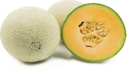 MuskMelon Cucumis melo Fruit Seeds for Planting Heirloom Non-GMO Seeds