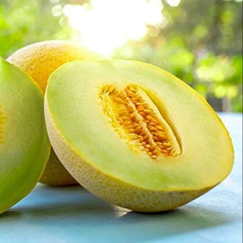Lemon Drops Melon Cucumis melo Seeds for Planting in Garden & Orchard Fruit Seeds for Home Gardens, Raised Beds & Outdoor Growing