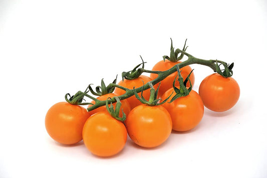 Orange Tomato Seeds for Planting Solanum lycopersicum for home gardens and kitchen gardens for Planting, Premium Vegetab