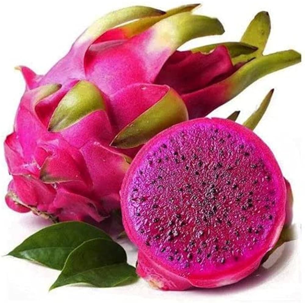 Pitaya Dragon Fruit Hylocereus spp. Seeds for Planting in Vegetable Patch for Planting, Premium Seeds | Heirloom Non-GMO