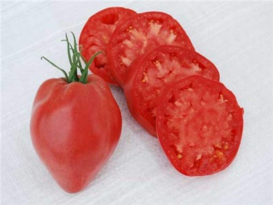 Oxheart Tomato Seeds for Planting Solanum lycopersicum for vegetable patches and home gardens for Planting, Premium Vege