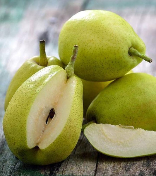 Pear Fruit Seeds Pyrus communis for Planting in Home Garden Fruit Seeds for Home Gardens, Containers & Outdoor Growing