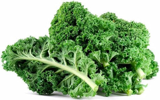 Ethiopian Kale Seeds for Planting Brassica carinata for vegetable patches and home gardens for Planting, Premium Seeds |
