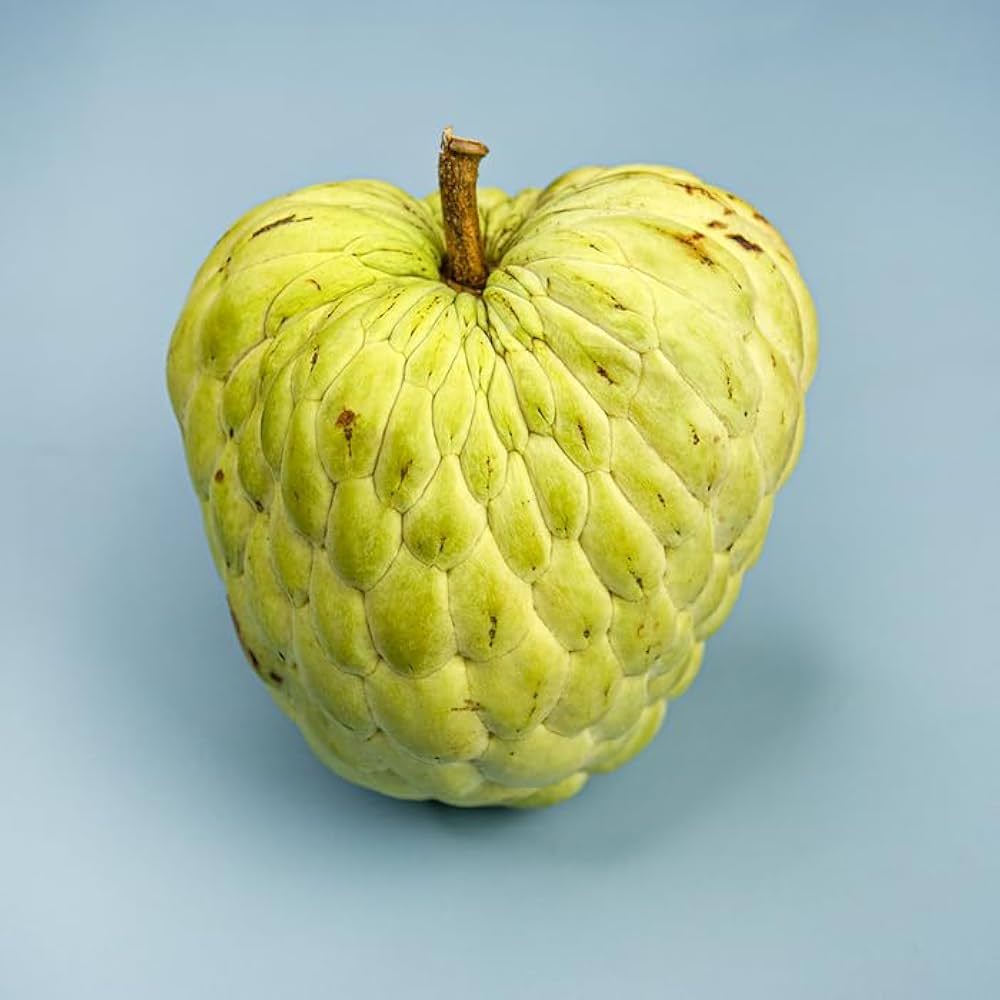 Custard Apple Tree Seeds ¨C Tropical Sweet Fruiting Variety