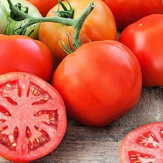 Tomato Solanum lycopersicum Seeds for Planting urban garden home garden for Planting, Premium Vegetable Seeds | Heirloom