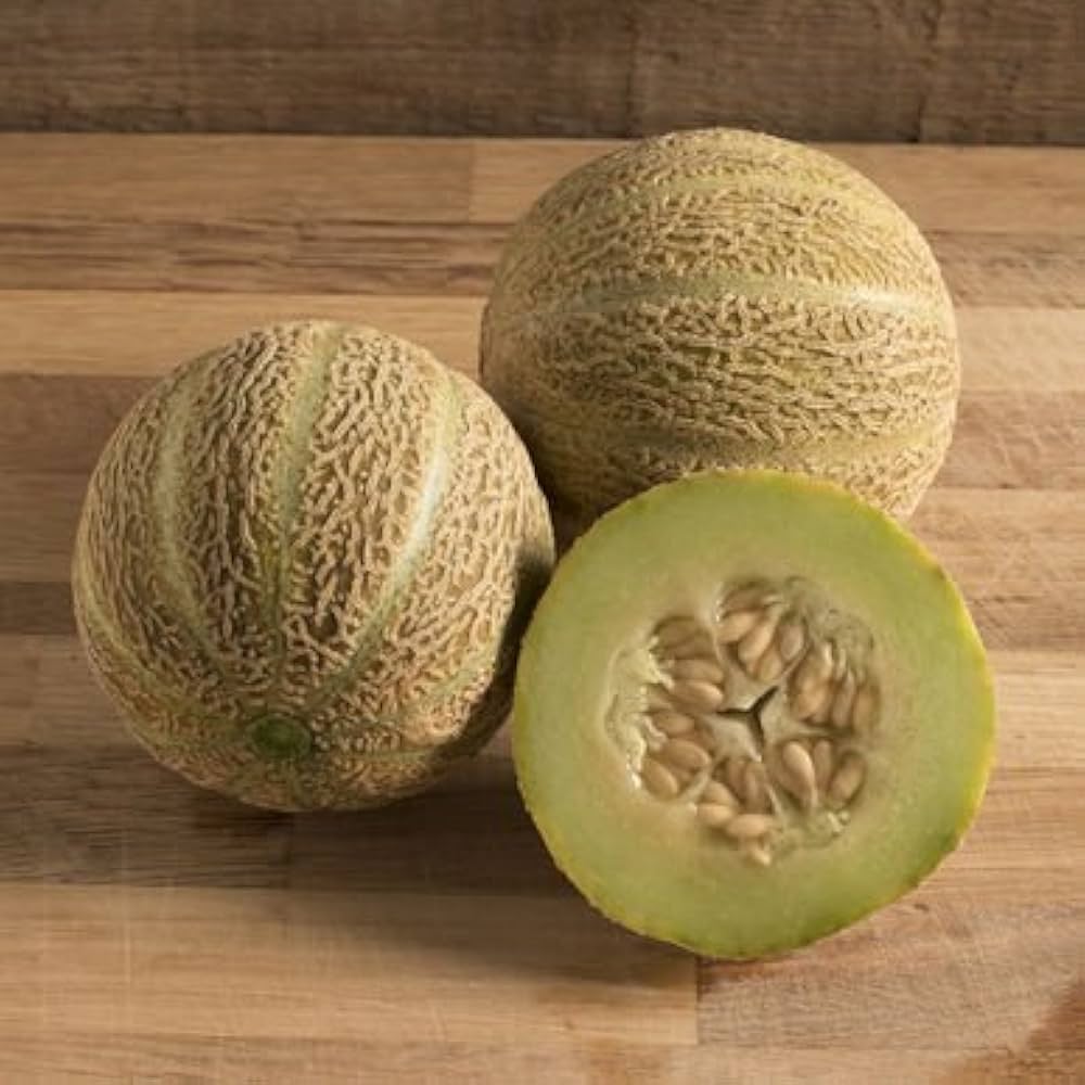 Muskmelon Cucumis melo Fruit Seeds for Planting for Vegetable Patch Fruit Seeds for Home Gardens, Raised Beds & Outdoor Growing