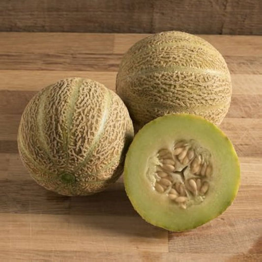 Muskmelon Cucumis melo Fruit Seeds for Planting for Vegetable Patch Fruit Seeds for Home Gardens, Raised Beds & Outdoor Growing