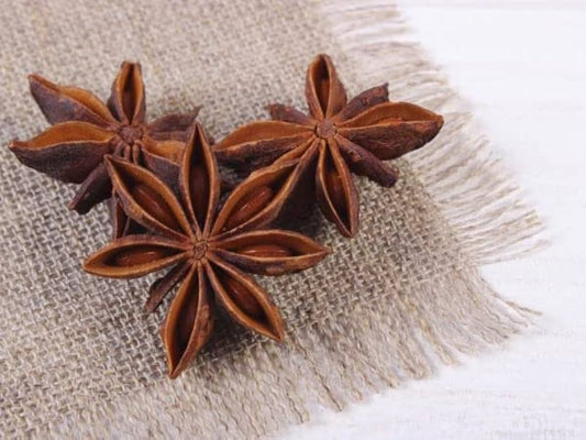 Anise Myrrhis Odorata Flower Seeds for Planting in Herb Garden and Garden Heirloom Non-GMO Seeds