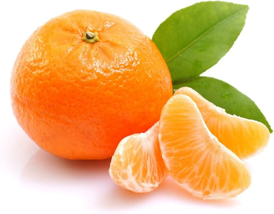 Orange Seeds for Planting Citrus sinensis for home gardens and orchard spaces Fruit Seeds for Home Gardens, Containers & Outdoor Growing