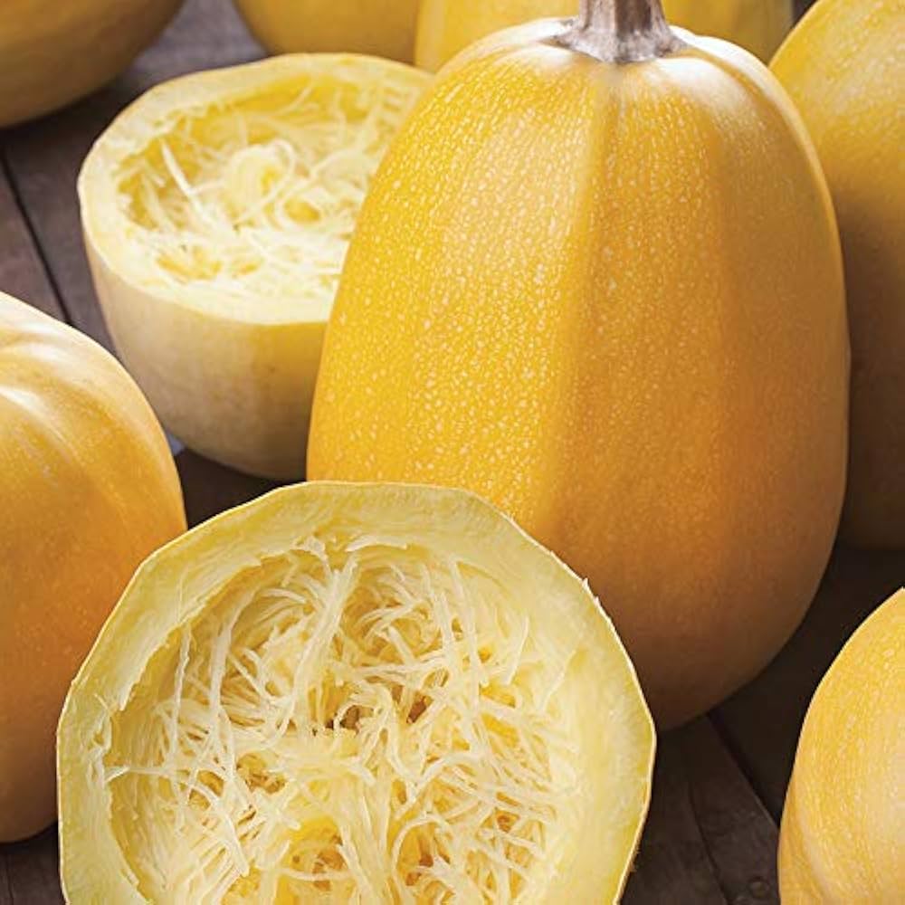 Spaghetti Squash Melon Seeds Cucurbita pepo for Planting in Vegetable Patch for Planting, Premium Seeds | Heirloom Non-G