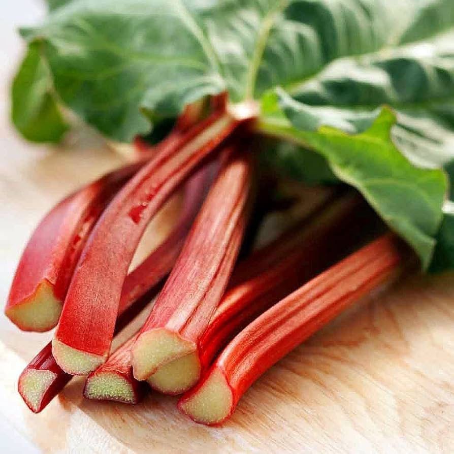 Rhubarb Rheum rhabarbarum Plant Seeds for Planting for Planting, Premium Seeds | Heirloom Non-GMO
