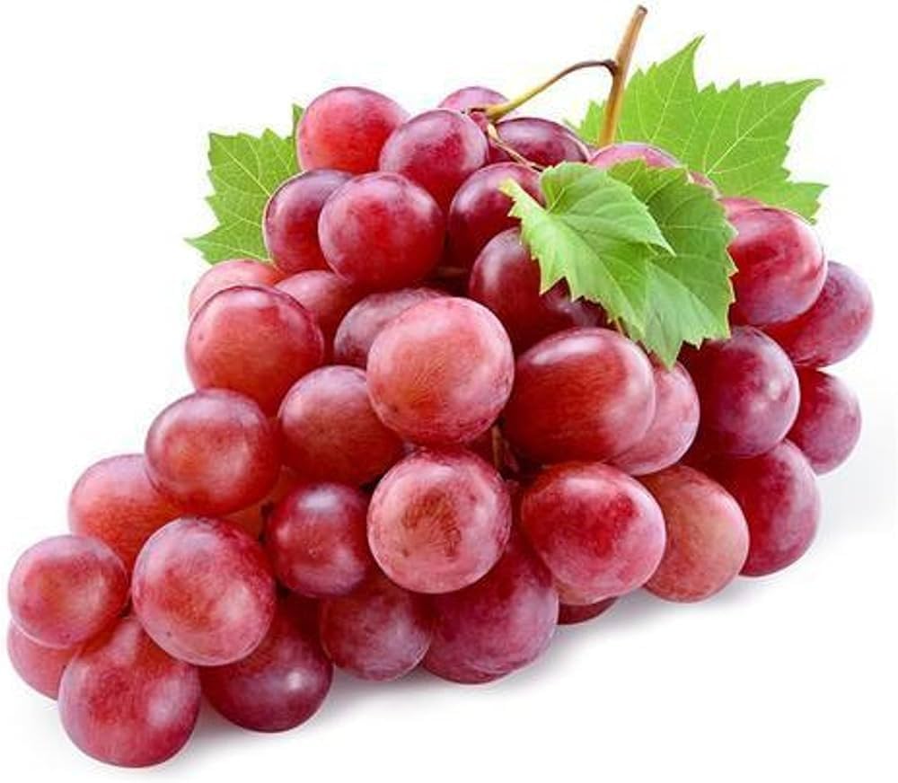 Seagrapes Fruit Seeds Cocoloba uvifera for Planting in Urban Garden Fruit Vine Seeds for Home Gardens, Trellises & Outdoor Growing
