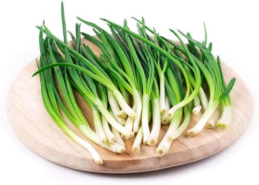 Chinese Chive Allium tuberosum Seeds for Planting in Herb Garden & Urban Garden for Planting, Premium Seeds | Heirloom N