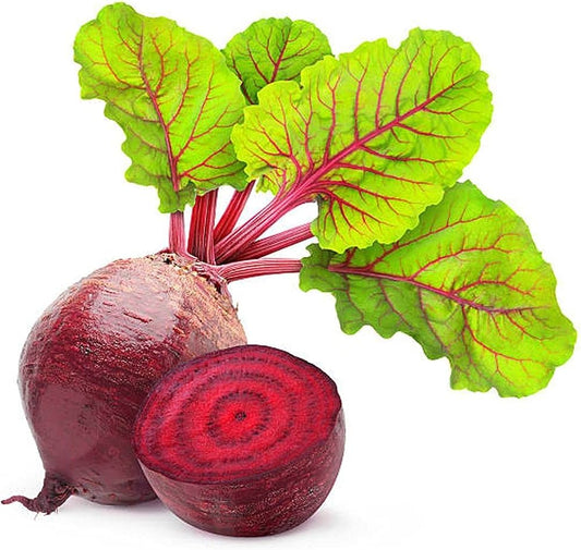 Beetroot Beta vulgaris Vegetable Seeds for Planting Heirloom Non-GMO Seeds
