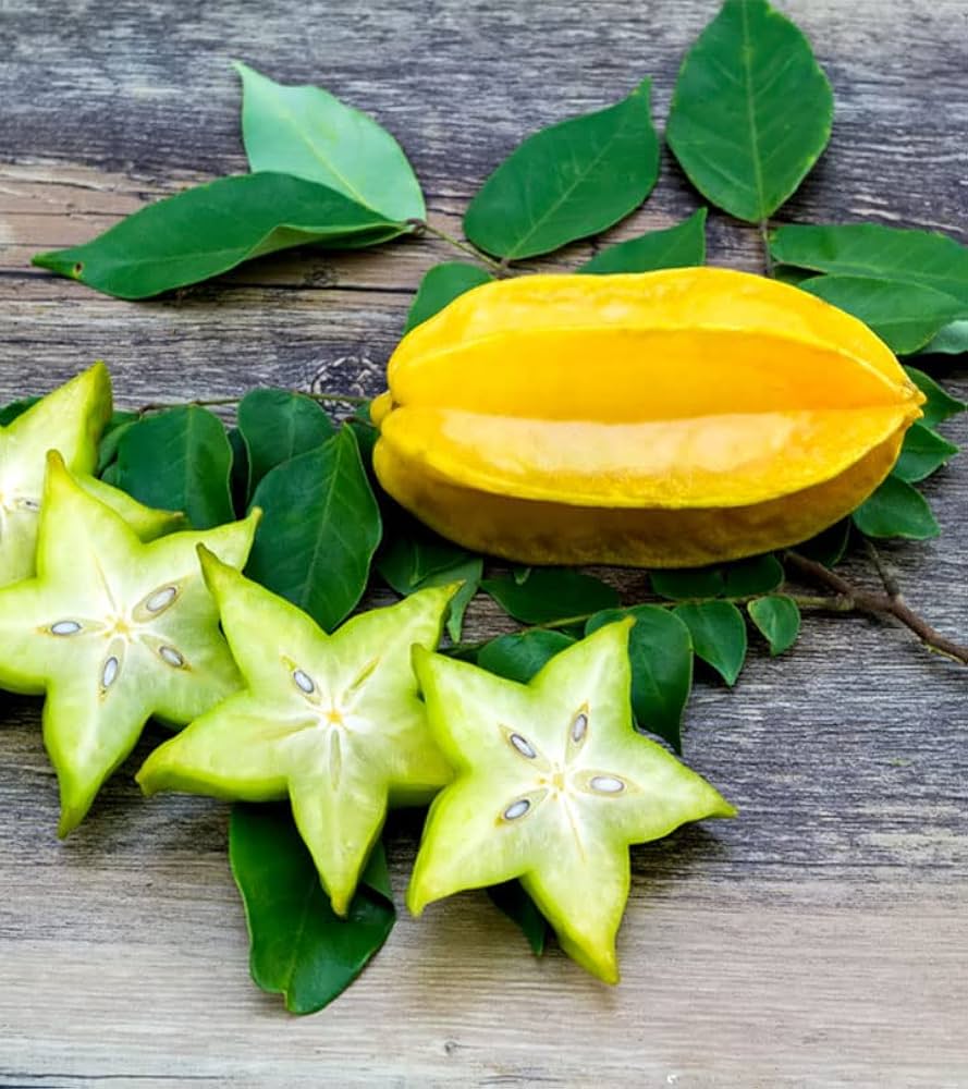 Star Fruit Seeds Averrhoa carambola for Planting in Urban Garden Fruit Seeds for Home Gardens, Containers & Outdoor Growing