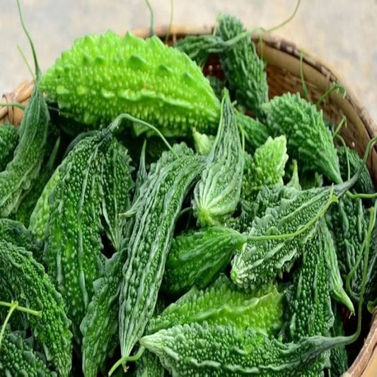 Bitter Melon Seeds for Planting Momordica charantia for urban gardens and raised beds for Planting, Premium Seeds | Heir