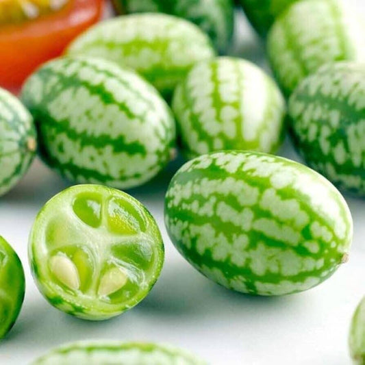 Melothria Scabra Seeds for Planting Melothria scabra for vegetable patches and garden borders Fruit Seeds for Home Gardens, Containers & Outdoor Growing