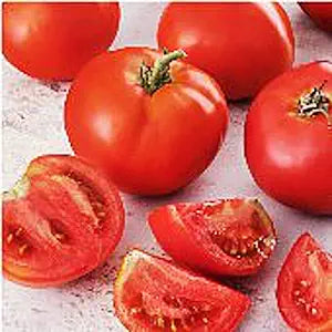 Creole Tomato Solanum lycopersicum Seeds for Planting in Vegetable Patch & Home Garden for Planting, Premium Vegetable S