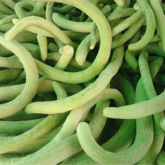 Long Cucumber Cucumis sativus Seeds for Planting vegetable patch urban garden Heirloom Non-GMO Seeds