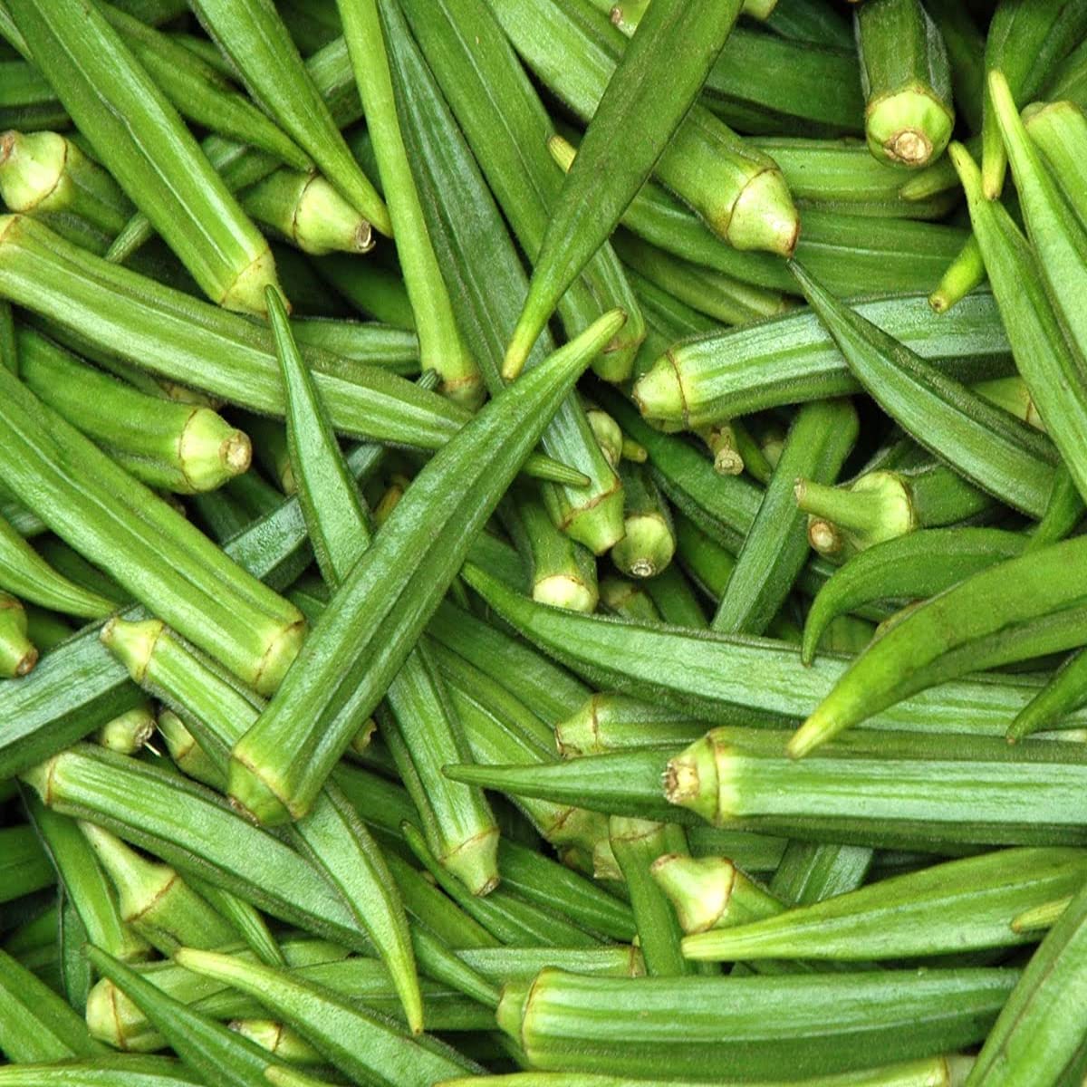 Okra Seeds for Planting Abelmoschus esculentus for vegetable patches and home gardens Heirloom Non-GMO Seeds