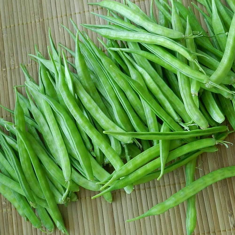 Cluster Bean Seeds for Planting Cyamopsis tetragonoloba for vegetable patches and home gardens for Planting, Premium Veg