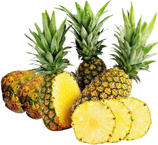 Pineapple Fruit Seeds Ananas comosus for Planting in Urban Garden Tropical Fruit Seeds for Home Gardens, Containers & Outdoor Growing