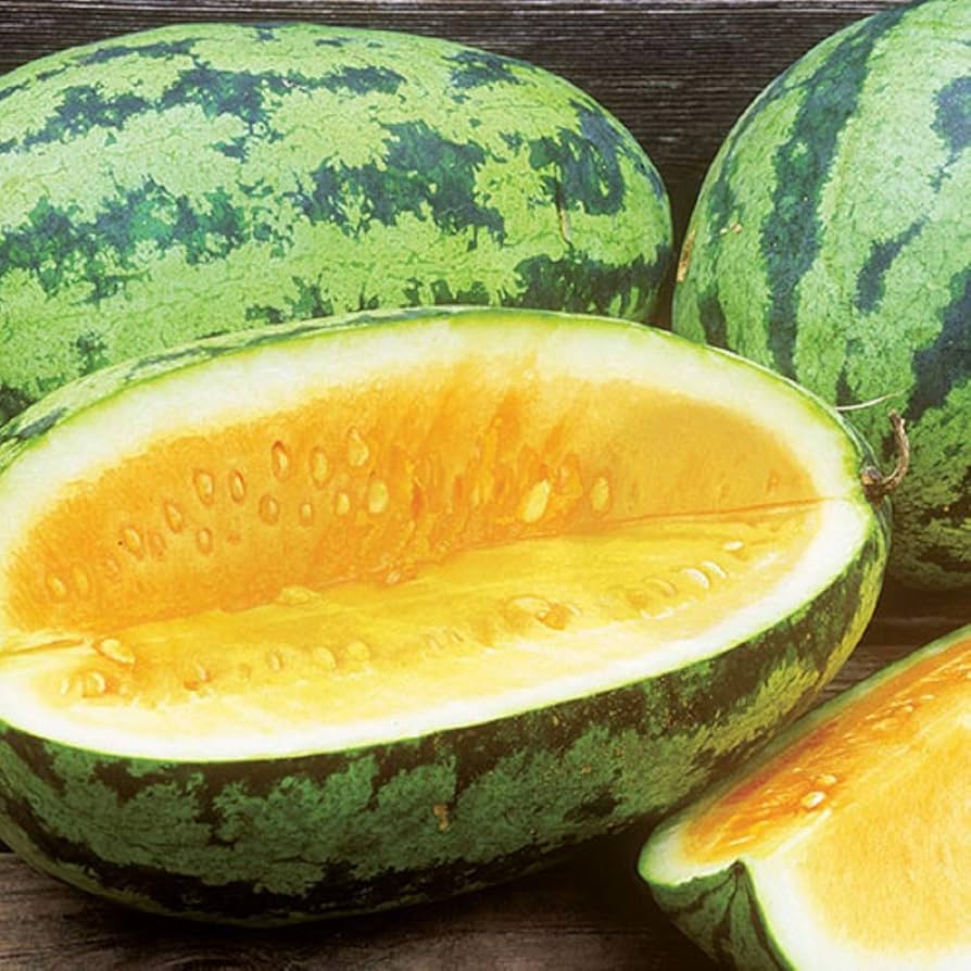 Orangeglo Watermelon Seeds for Planting Citrullus lanatus for vegetable patches and summer gardens Fruit Seeds for Home Gardens, Raised Beds & Outdoor Growing